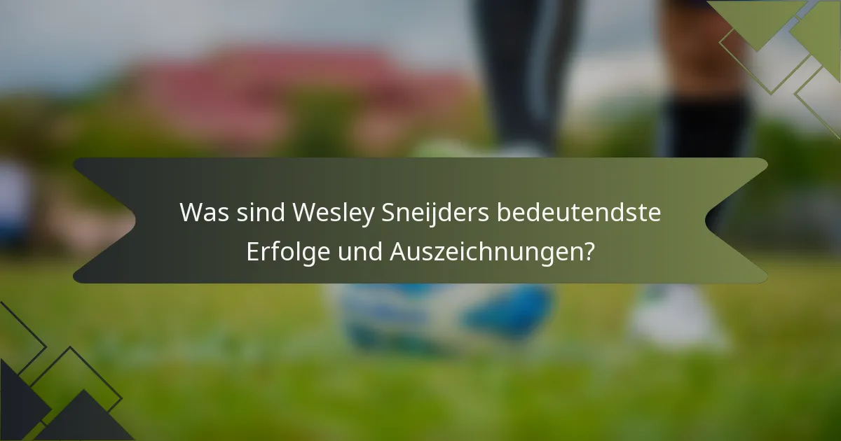 Was sind Wesley Sneijders bedeutendste Erfolge und Auszeichnungen?