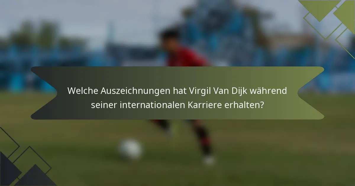 Welche Auszeichnungen hat Virgil Van Dijk während seiner internationalen Karriere erhalten?