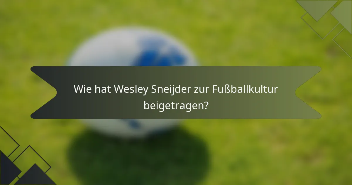 Wie hat Wesley Sneijder zur Fußballkultur beigetragen?