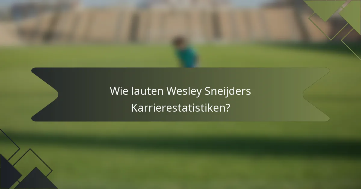 Wie lauten Wesley Sneijders Karrierestatistiken?