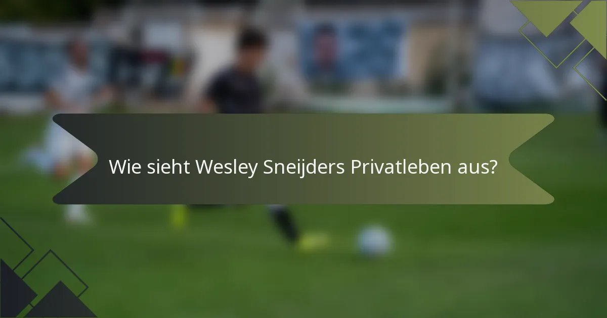 Wie sieht Wesley Sneijders Privatleben aus?
